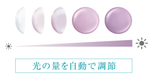 主張 類語 主張 の類語 意味や別の表現方法 言い換え 言い回し 類語 類義語 同義語 辞典 Amp Petmd Com 主張 類語 主張 の類語 意味や別の表現方法 言い換え 言い回し 類語 類義語 同義語 辞典 Amp Petmd Com