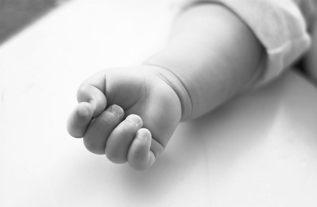kid0008-003-1024x667